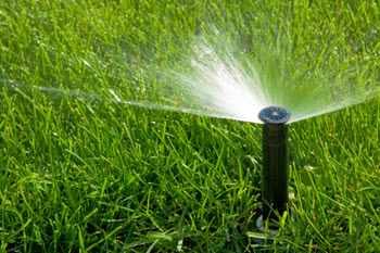 sprinkler system