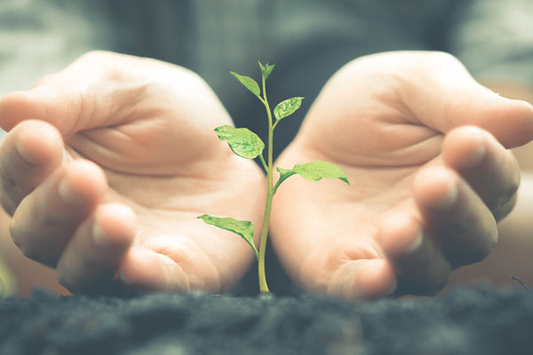 hands with plant depicting environmentally friendly heating oil
