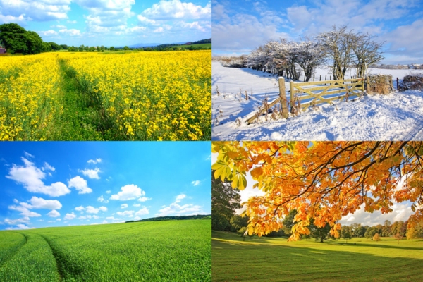 different seasons depicting seasonal energy savings tips